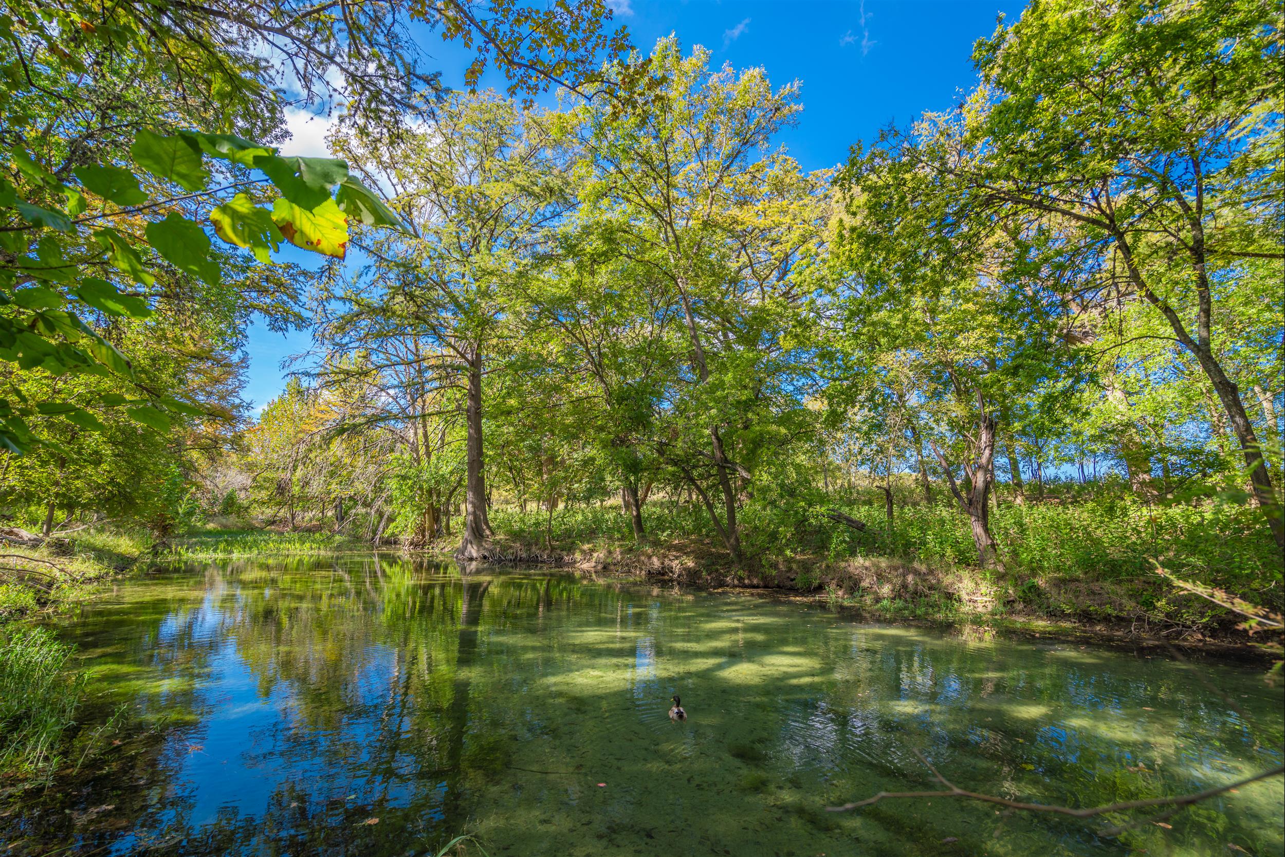 Utopia River Retreat in Utopia, Texas - Home